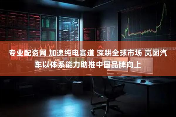 专业配资网 加速纯电赛道 深耕全球市场 岚图汽车以体系能力助推中国品牌向上